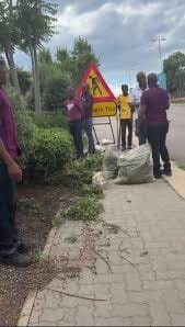 Steers Workers Spark Outrage Over Gardening Duties in Pretoria