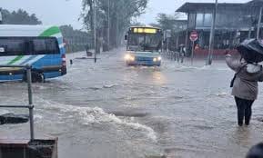 Disaster management teams mobilised in Mpumalanga as heavy rains wreak havoc