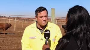 South Africa is set to receive its biggest single shipment of foot and mouth disease vaccines, with 1 million doses arriving this weekend, Agriculture Minister John Steenhuisen has confirmed.