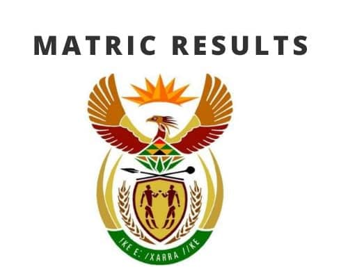 Gauteng Department of Education Confirms Online Access for 2025 Matric Results