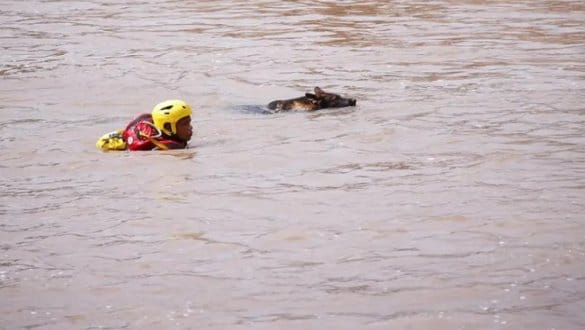 Tragedy in the Boland: Two Men and Woman Die in Devastating Floodwaters