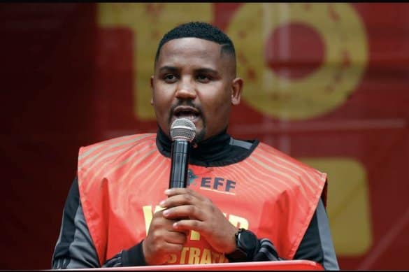 Nkululeko Dunga Warns Gauteng Needs R35 Billion for Nearly 100 New Schools