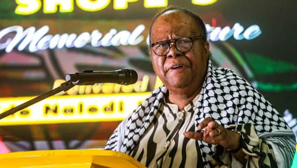 Diplomatic Shockwave: U.S. Revokes South African Foreign Minister’s Visa Without Explanation