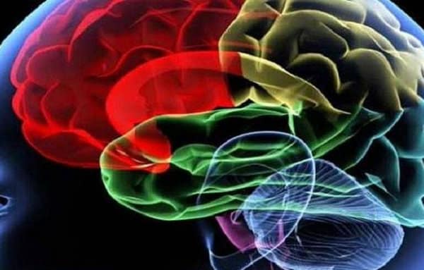 Over 11,000 Epilepsy Emergencies Reported in Gauteng in Past Year