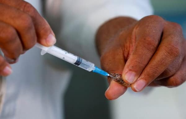 Gauteng Issues Urgent Alert as Malaria Cases and Deaths Rise