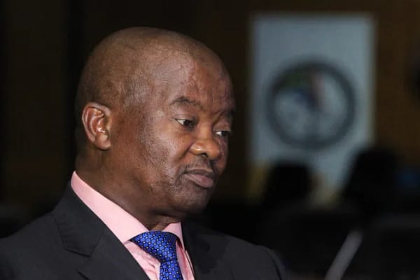 “Mega-Looting” at the PIC: Holomisa Warns R3.5 Trillion in Public Servant Pensions at “Enormous Risk”
