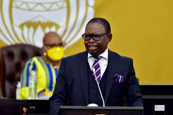 Godongwana Steps In as Acting President Amid Ramaphosa’s Diplomatic Marathon
