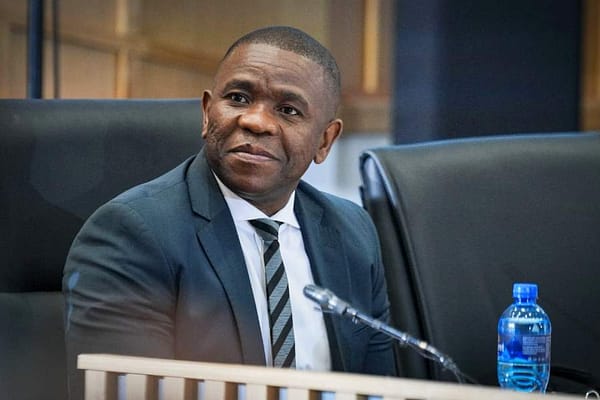 Mkhwanazi Alleges Political Interference in Disbandment of KZN Killings Task Team
