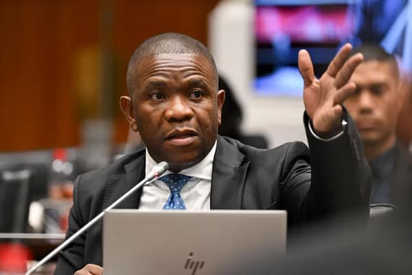 Mkhwanazi Demands Parliamentary Probe into “Shadow Network” of McBride and O’Sullivan