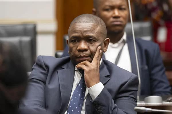 Ad Hoc Committee Resumes Hearings After Dispute Over Mkhwanazi Statement