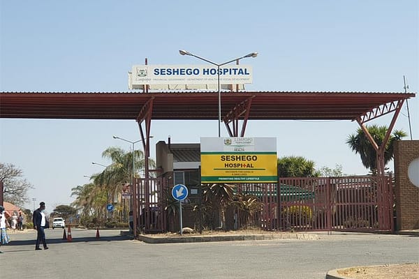 Three-Year-Old Dies After Being Left in Car for Hours at Seshego Hospital