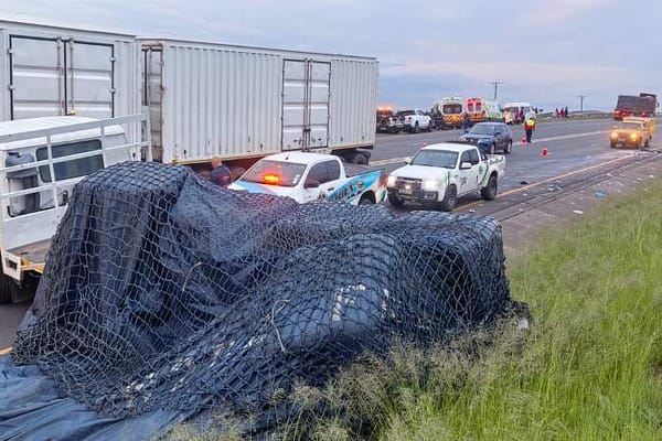 Tragedy on the N3: Eight Killed in Horror Crash Between Taxi and Truck
