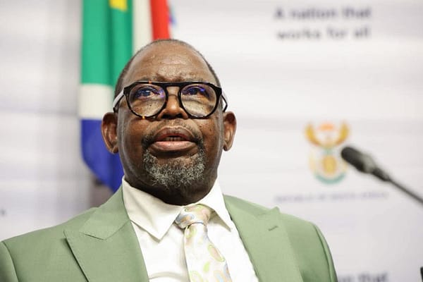 Godongwana Reallocates R100m to G20 Summit, Stresses Fiscal Discipline in Critical Medium-Term Budget