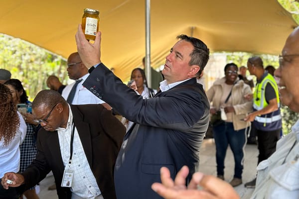 Steenhuisen Hails Honeybees as ‘Farmers of the Sky’ in Push for Stronger Beekeeping Sector