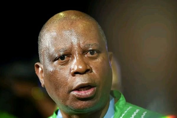Mashaba Wades Into Immigration Fray, Urges Operation Dudula to Pursue Legal Avenues Amid Rising Tensions