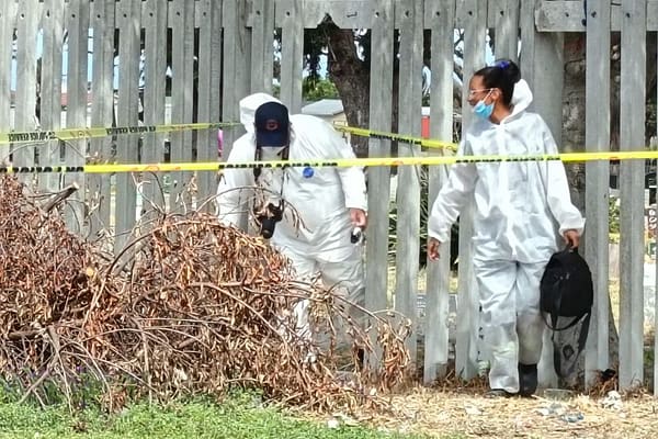 Cape Town Gripped by Horror as Police Uncover Two Bodies in Grassy Park,Pregnant Shanice Rudolph Found in Shallow Grave, Suspect Arrested