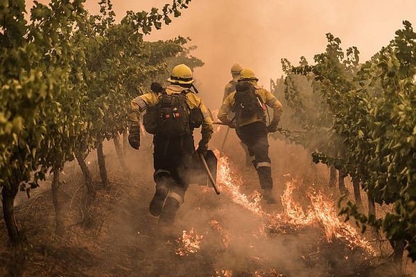Stellenbosch Among Hard-Hit Areas as Cape Winelands Fires Spread, Firefighters Battle Multiple Blazes Across the District