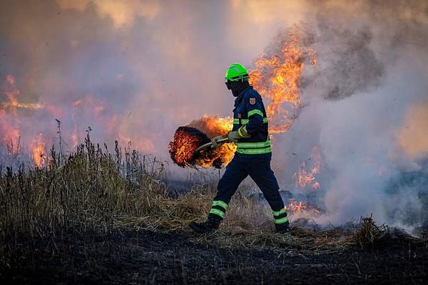N2 Reopened West of Gqeberha After Wildfires Contained in Nelson Mandela Bay