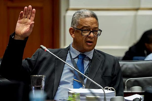 Ex‑Police Minister Nhleko Accused of Interfering in IPID Probes — McBride Testifies