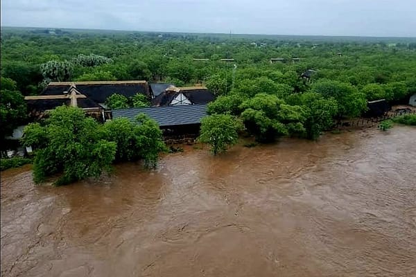 Kruger National Park Hit Hard: ‘Nature Doesn’t Consider Infrastructure,’ Says Aucamp