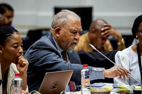 Parliament Prepares for High-Profile Testimonies on Justice System Infiltration; Paul O’Sullivan, Robert McBride Among Witnesses in Ad Hoc Committee Hearings