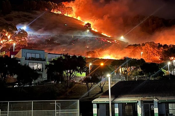 Fire on Signal Hill Extinguished by Cape Town and Table Mountain Teams