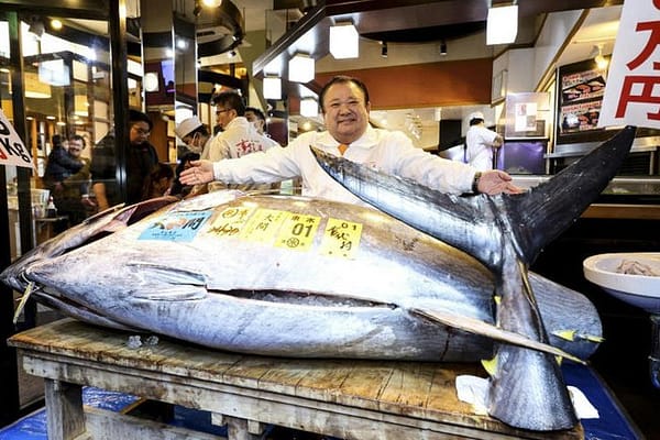 “Tuna King” Reigns Supreme: Record $3.2 Million Bluefin Purchase Opens Tokyo’s New Year Market