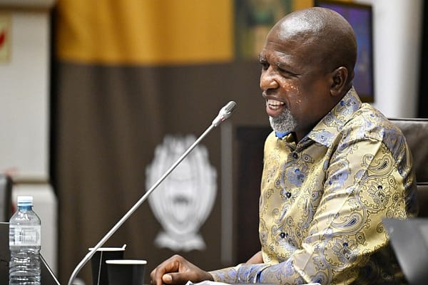 Ad Hoc Committee to Submit Over 100 Questions to Ramaphosa