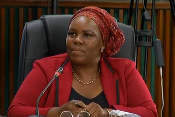 Adv Moipone Noko Alleges R1 Million Offered to Kill Taxi Association Member-Nkabinde Inquiry