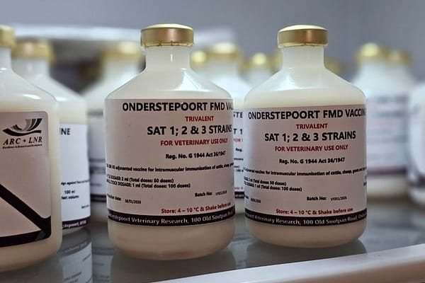 Minister John Steenhuisen to Receive First Shipment of One Million FMD Vaccines at OR Tambo