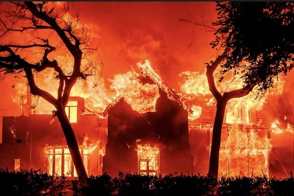 Cape Peninsula Fires Destroy Hundreds of Homes, 700 Left Homeless