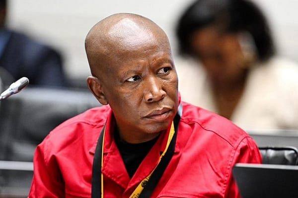 No Alliance: Malema Dismisses EFF–MKP Merger Speculation