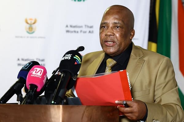 Motsoaledi Says Chemicals in Sanitary Pads Pose No Health Risk