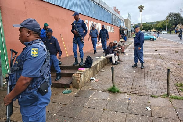 Tshwane police arrest 355 suspects in Operation Shanela crackdown