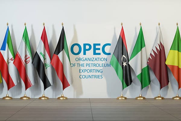 Shock Exit: United Arab Emirates Walks Away from OPEC Alliance