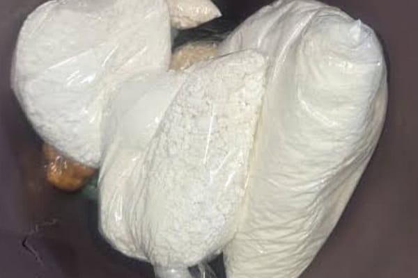 South African Police Service Bust R1.5m Suspected Drug Lab in Sandton Raid