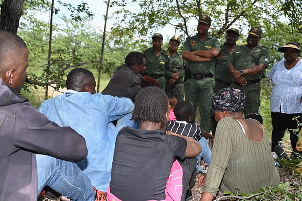 Migrants Found Hiding in Bush as BMA Foils Cross-Border Movement