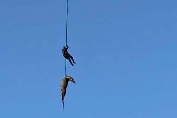 Police Recover Remains from Crocodile After Flood-Swept Bridge Tragedy