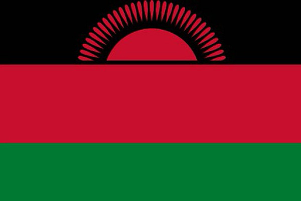 Malawi Plans Repatriation for Citizens in South Africa Amid Protests
