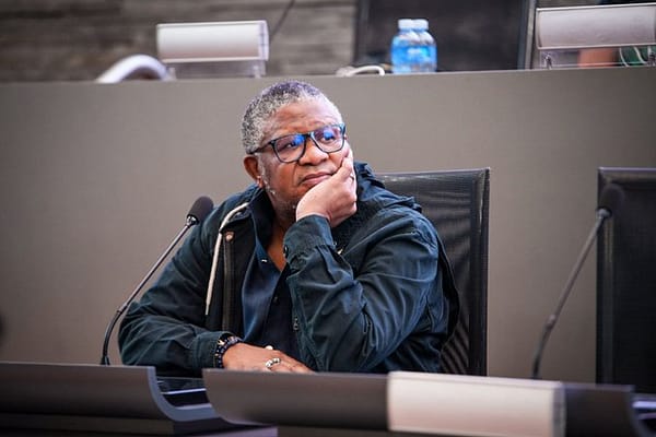 ANC Eastern Cape PTT Faces Court Challenge as Members Question Legality of Appointment
