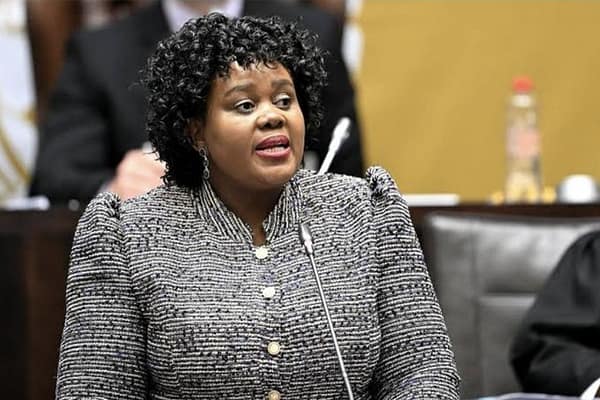 Minister Kubayi to Push Justice and Accountability Agenda at University of Johannesburg Summit